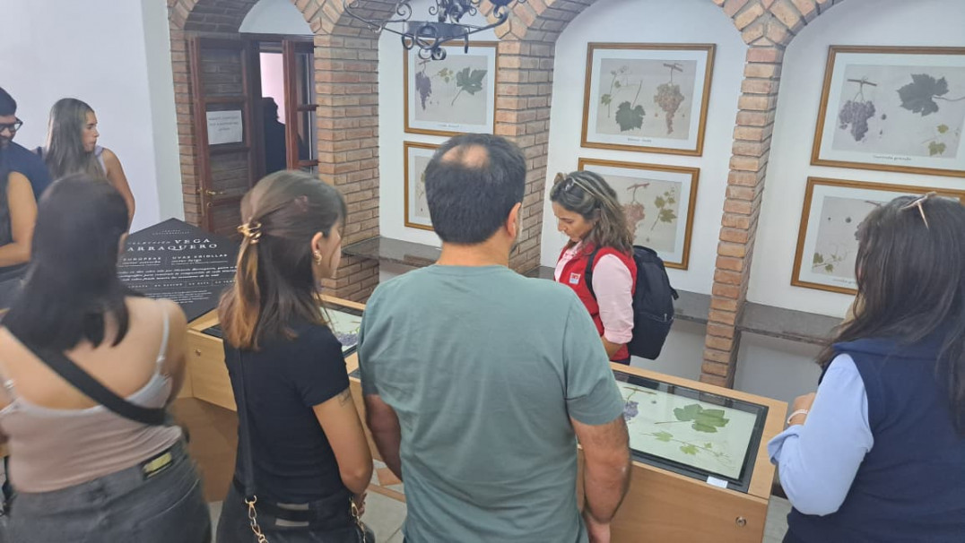 imagen El arte como puente entre ciencia y patrimonio: puesta en valor de la Colección Vega-Barraquero