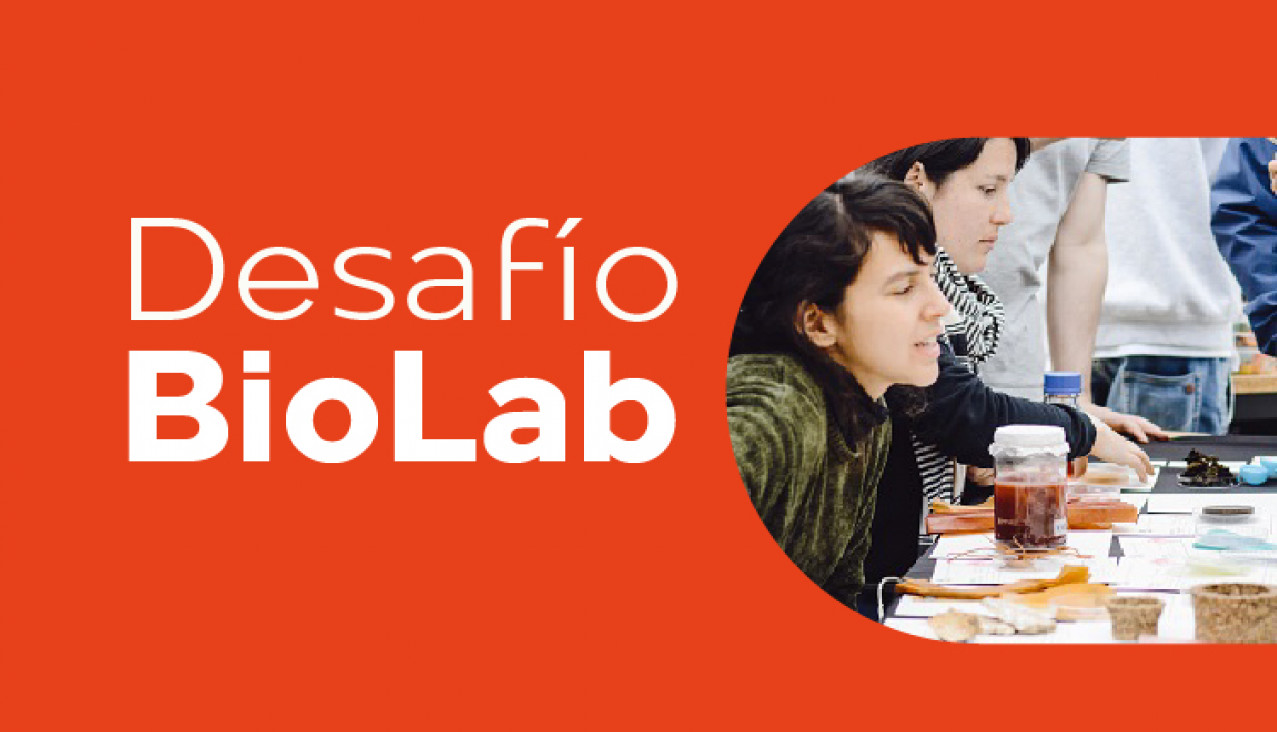 imagen Llega el "Desafío BioLab: desarrollo de biomateriales y su aplicación en el diseño"