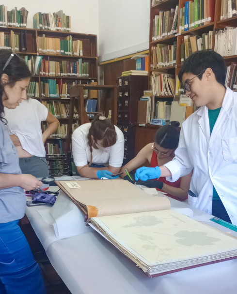 imagen El arte como puente entre ciencia y patrimonio: puesta en valor de la Colección Vega-Barraquero