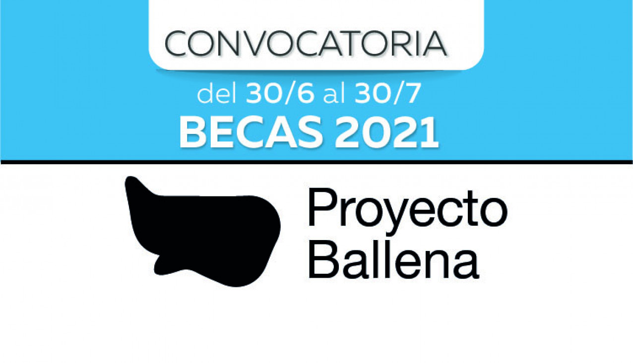 imagen Proyecto Ballena: otorgarán becas de investigación artística 