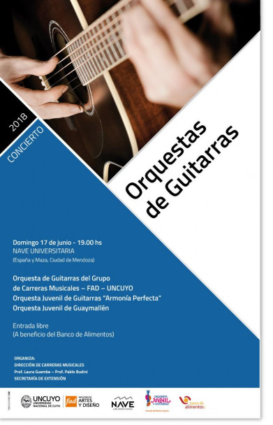 imagen Orquesta de Guitarras
