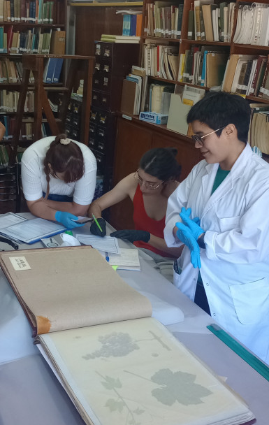 imagen  50 años de Historia del Arte en la UNCUYO: medio siglo formando miradas críticas y sensibles