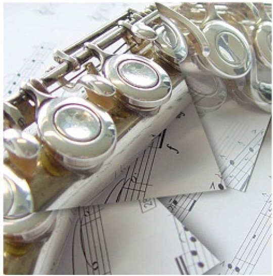 imagen 2° Edición de la "Semana de la Música Contemporánea" dedicada a Música para Flauta