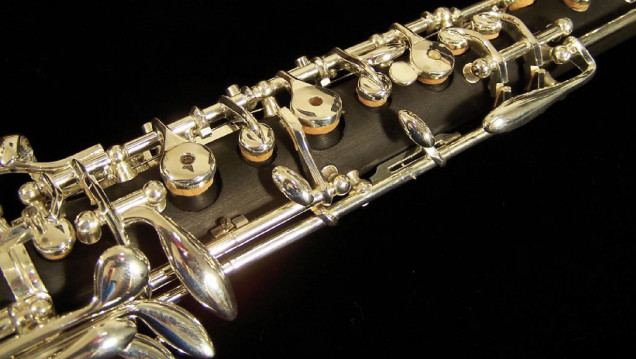 imagen Estudio y práctica de ejecución del oboe