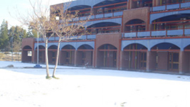 imagen Nieve en Mendoza