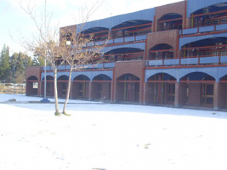 imagen Nieve en Mendoza