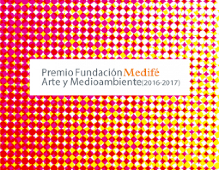 imagen Bienal Fundación Medifé Arte y Medioambiente