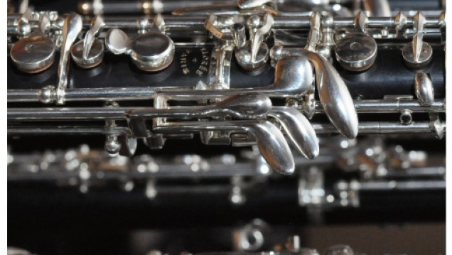 imagen Curso de perfeccionamiento en Oboe y concierto