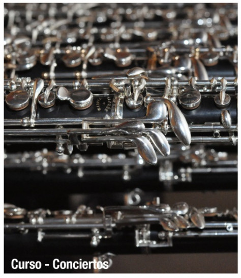 imagen Curso de perfeccionamiento en Oboe y concierto